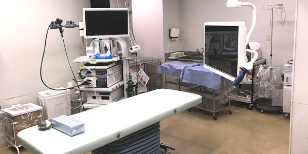 内視鏡のベッド